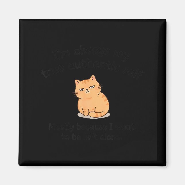 Funny Sarcastic Quote Self Introvert Leave Me Magnet (Front)