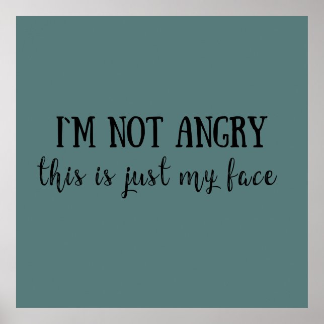 funny sarcastic sayings poster (Front)