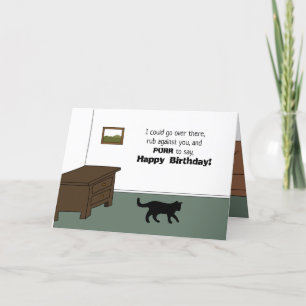 Funny Sassy Cat Snarky Happy Birthday Cat Lover Card