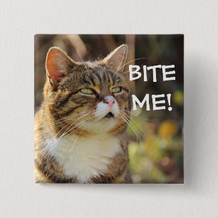 Funny Sassy Cat with Attitude Bite Me 2 Inch Square Button