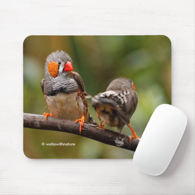 Funny Saucy Cheeky Pair of Zebra Finches Songbirds Mouse Pad (With Mouse)