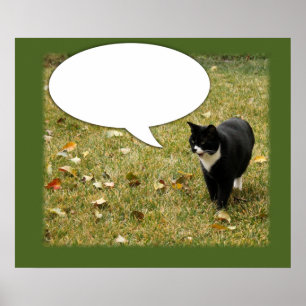 Funny Say Something Kitty Speech Bubble Poster
