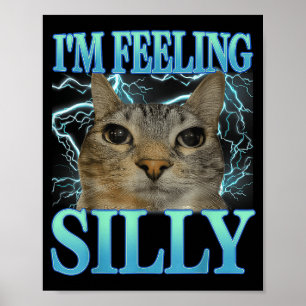Funny Saying Cat Lover I'm Feeling Silly Cat Meme  Poster