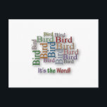 Funny Sayings Quote - Bird – it's the word Postcard<br><div class="desc">Funny Sayings and quotes - Bird – it's the word 
Inspirational and motivational Funny Sayings quote.
 Great gift for people who love funny sayings.</div>