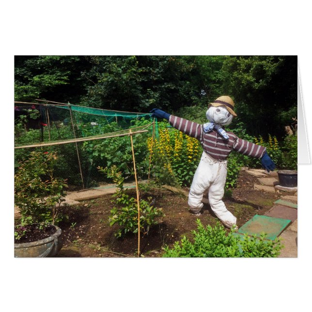 Funny scarecrow (Front Horizontal)