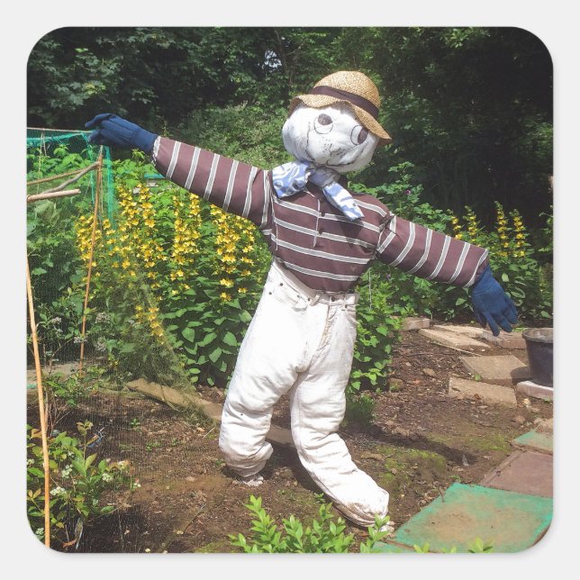 Funny scarecrow square sticker (Front)