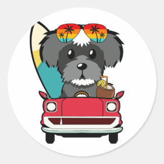 Funny Schnauzer  Dog is driving to the beach Classic Round Sticker