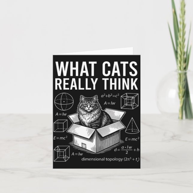 Funny Science Physics Cat in Box What Cats Think Card (Front)