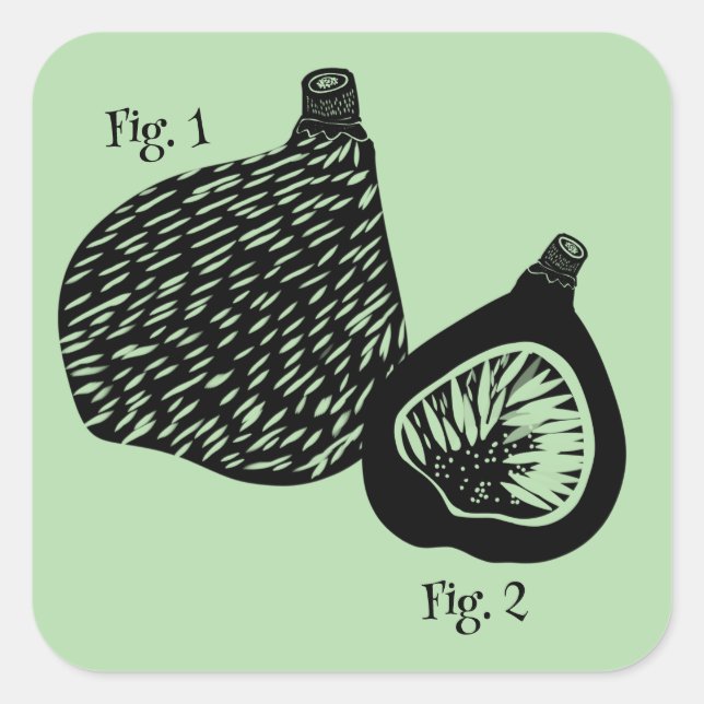 Funny Scientific Fig Illustration Square Sticker (Front)
