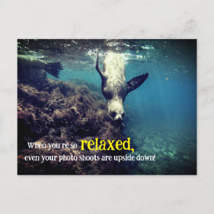 Funny sea lion underwater holiday postcard