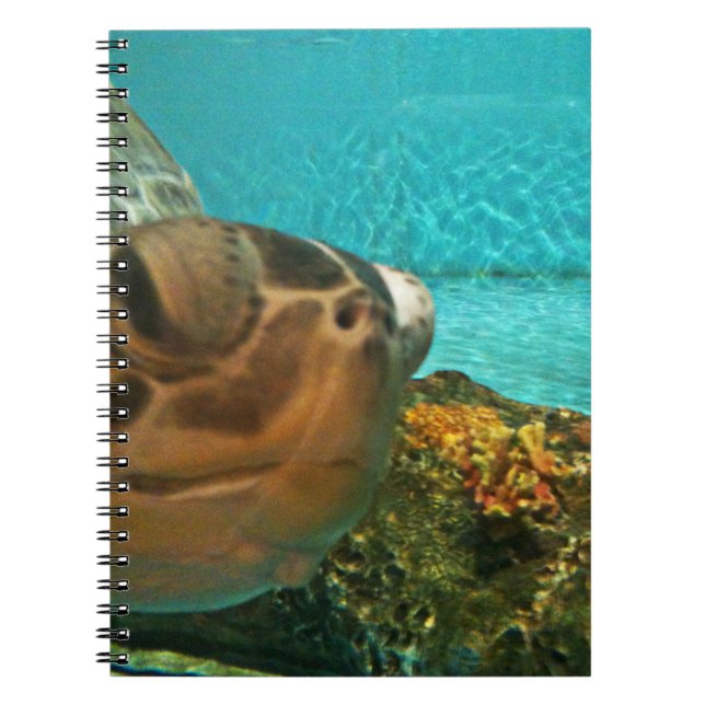 Funny Sea Turtle Peek Notebook (Front)