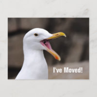 FUNNY Seagull