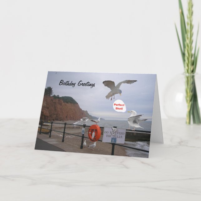 Funny seagull birthday card, customizable card (Front)