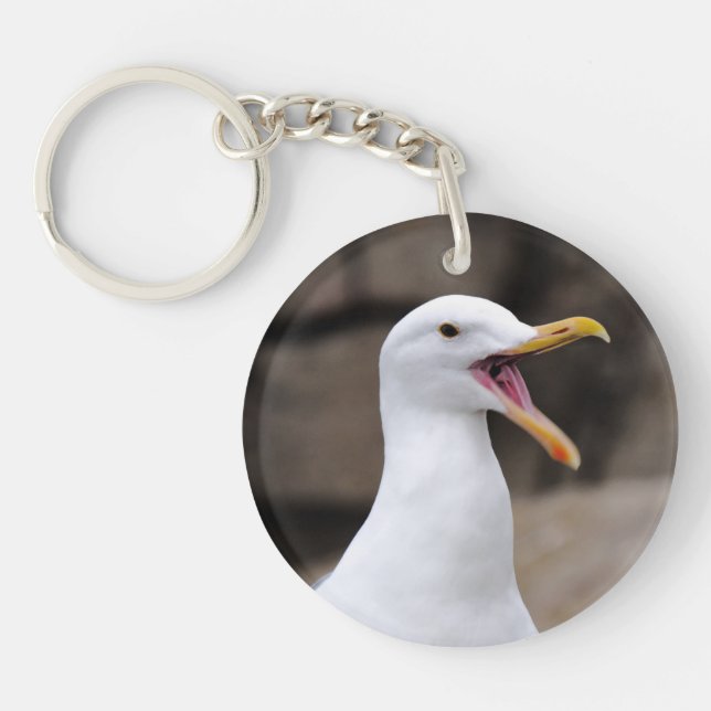 FUNNY Seagull Keychain (Front)