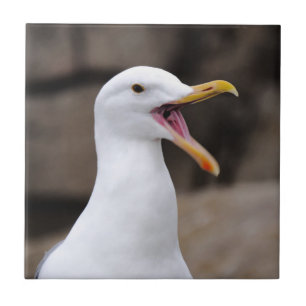 FUNNY Seagull Tile
