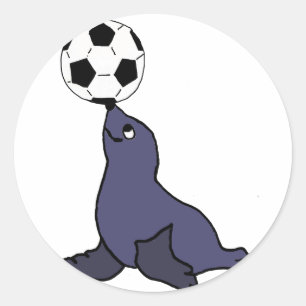 Funny Seal Animal Juggling Soccer Ball