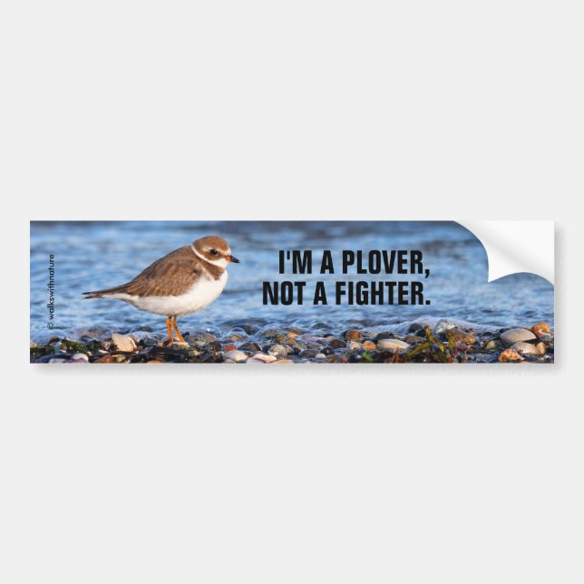 Funny Semipalmated Plover Not a Fighter Bumper Sticker (Front)