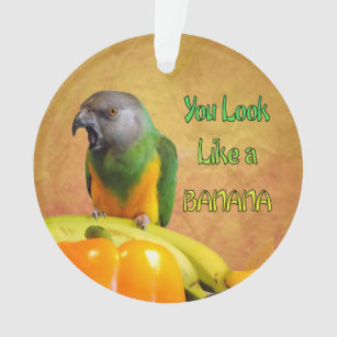 Funny Senegal Parrot Banana Ornament