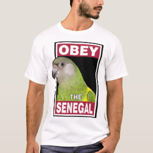Funny Senegal Parrot - Bird Art T-Shirt