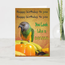 Funny Sénégal Parrot Carte d'anniversaire