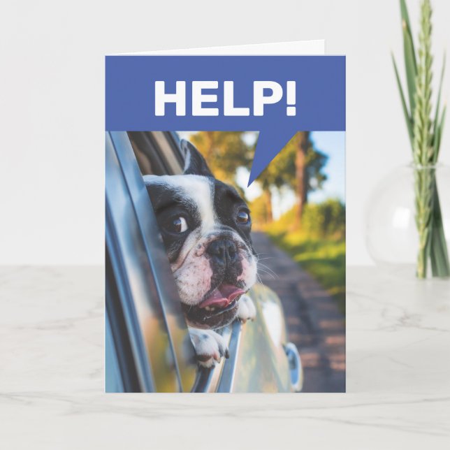 Funny Senior Driving Car, Terrified Dog Passenger Card (Front)