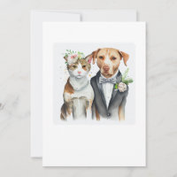 funny serious: cat and dog weding, watercolor