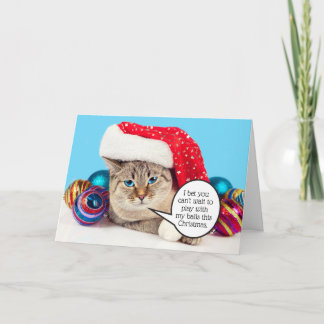 Funny sexy pose cat Christmas balls Holiday Card