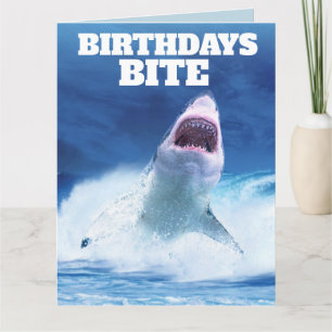 FUNNY SHARK BIRTHDAY greeting cards