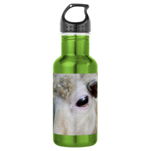 Funny Sheep 532 Ml Water Bottle