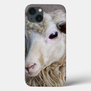 Funny Sheep iPhone 13 Case