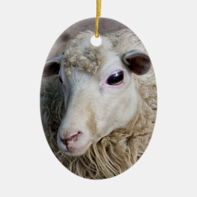 Funny Sheep Ceramic Ornament (Front)