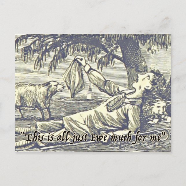 Funny Sheep Ewe Greetings Card vintage Farm Humour (Front)