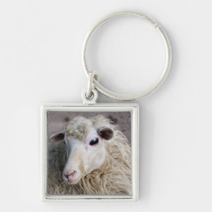 Funny Sheep Keychain