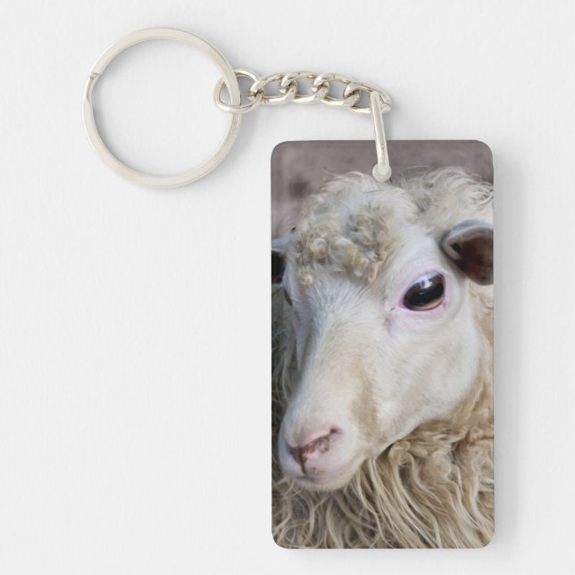 Funny Sheep Keychain (Front)