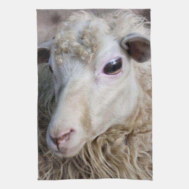 Funny Sheep Kitchen Towel (Vertical)
