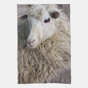 Funny Sheep Kitchen Towel