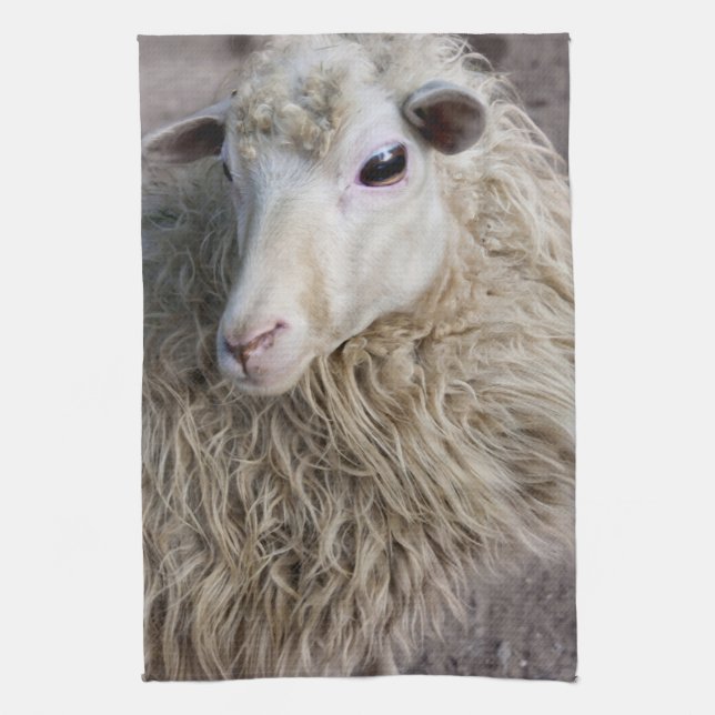 Funny Sheep Kitchen Towel (Vertical)