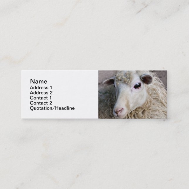 Funny Sheep Mini Business Card (Front)