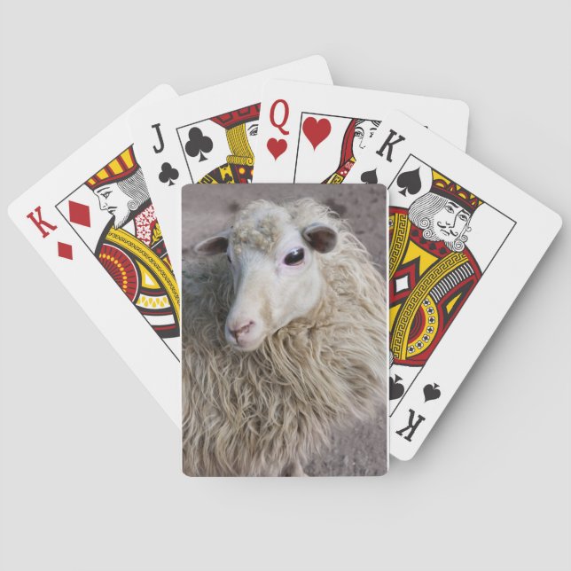 Funny Sheep Playing Cards (Back)