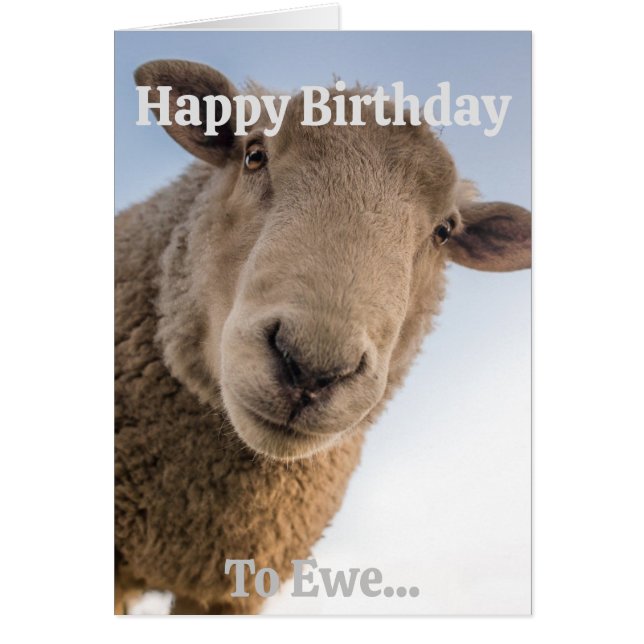 Funny Sheep Versatile Personalisable Birthday Card (Front)