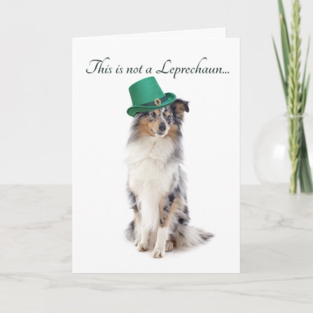 Funny Sheltie St. Patrick's Day Card (Front)
