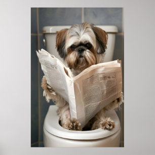 Funny Shih Tzu Bathroom Print, Reading Newspaper Poster