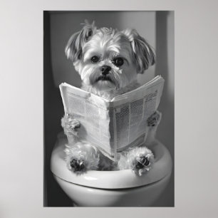 Funny Shih Tzu Bathroom Print, Reading Newspaper Poster