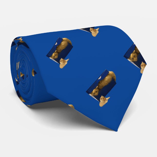 Funny Shoe Box Ginger Cat, Neck Tie (Rolled)