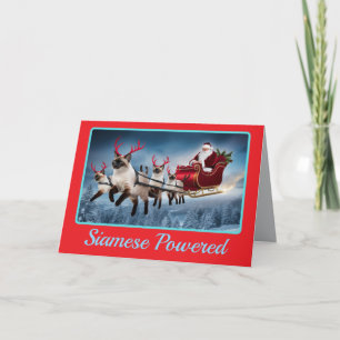 Funny Siamese Cat Christmas Holiday Card