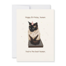 Funny Siamese Cat Happy Birthday Card