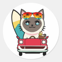 Funny siamese cat is driving to the beach