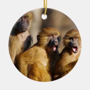 Funny Singing Monkeys - Barbary Macaques Ceramic Ornament