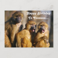 Funny Singing Monkeys - Barbary Macaques