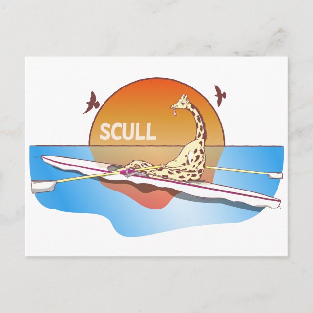 Funny single skulls rowing postcard (Front)